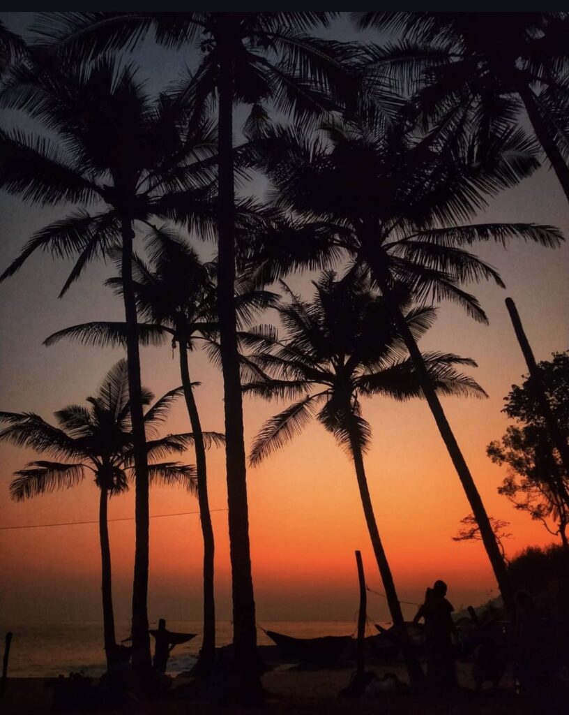 Varkala for solo travellers : workcation Guide 2025 Gokarna